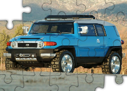 Niebieska, Toyota