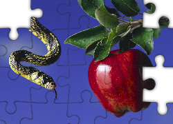 Wąż, Zakazany, Owoc, Jabłko