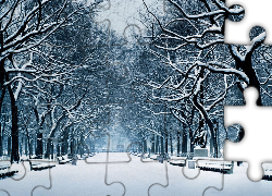Zima, Śnieg, Drzewa, Alejka