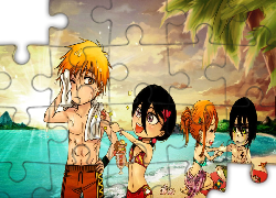 Bleach, Postacie, Plaża