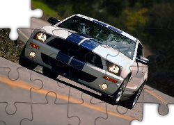 Shelby, Ford Mustang