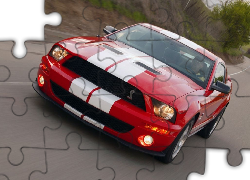 Ford Mustang, Shelby, GT500