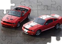 Mustang Shelby, Ford Mustang, Cabrio
