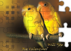 Dwie, Papużki, Miłość, Walentynki