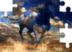 Koń, Kolory, Chmur