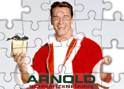 Arnold Schwarzenegger, Prezent