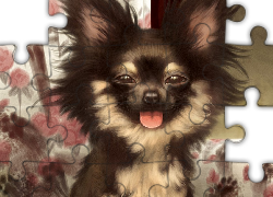 Pies, Śmieszny, Chihuahua długowłosa