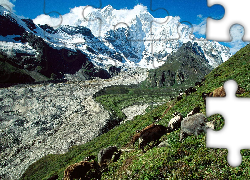 Tybet, Góry, Pastwisko