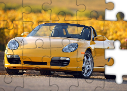 Żółte Cabrio, Porsche