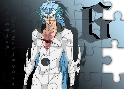 Grimmjow, Espada, Numer 6