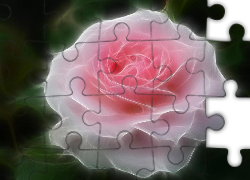 Różowa, Róża, 3D