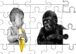 Dziecko, Małpa, Banan