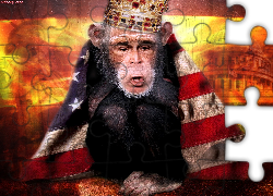 Flaga, USA, Małpa, Podobizna