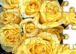 Żółte, Główki, Róż