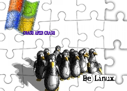 Windows, Kontra, Linux