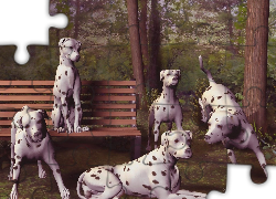 Psy, Dalmatyńczyki, 3D