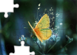 Motyl, Kwiatki, Grafika