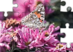 Kwiaty, Motyl, Fractalius