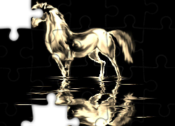 Biały, Koń, Grafika