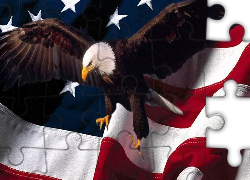 Flaga, USA,  Bielik amerykański