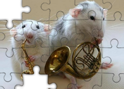 Dwa, Szczury, Instrumenty