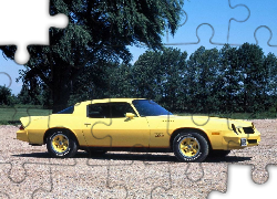 Żółty, Chevrolet Camaro, Z28