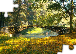 Most, Jesień, Drzewa