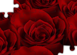 Czerwone, Róże, Tekstura