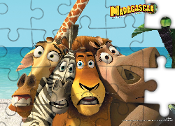Madagaskar, Żyrafa, Zebra, Lew, Hipopotan