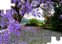 Dom, Ogród, Drzewo, Kwiaty
