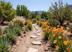 Ogród, Ścieżka, Drzewa, Kwiaty, Agawa, Krzewy, Rośliny