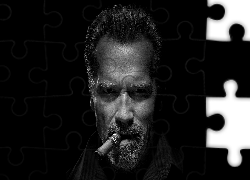 Mężczyzna, Aktor, Arnold Schwarzenegger, Cygaro