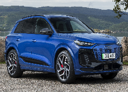 Audi Q6, E-tron