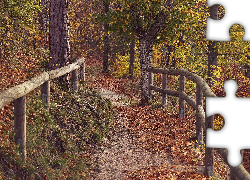 Jesień, Las, Drzewa, Ścieżka, Balustrada