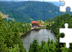 Niemcy, Północny Schwarzwald, Jezioro Mummelsee, Hotel Berghotel, Drzewa, Góry