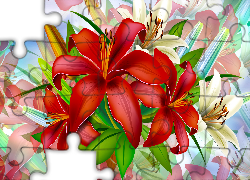 Kwiaty, Czerwone, Białe, Lilie, Grafika 2D