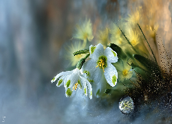 Śnieżyca, Białe, Kwiaty, Grafika AI