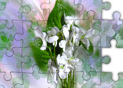 Białe kwiaty, Grafika