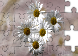Kwiaty, Margerytki, Grafika