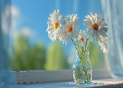 Margerytki, Wazon, Okno, Grafika AI