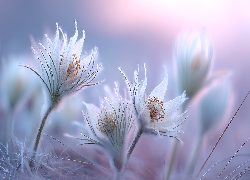 Sasanki, Kwiaty, Grafika AI