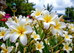 Plumeria, Biało-żółte, Kwiaty, Grafika AI