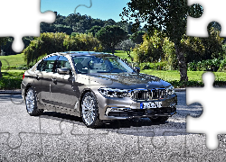 BMW 5-Series 520d Sedan Luxury Line, G30, 2017