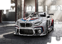 Samochód rajdowy, BMW M6 F13 GT3