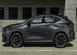 Lexus NX, F, Sport