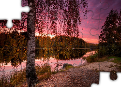 Finlandia, Prowincja Finlandia Zachodnia, Region Pirkanmaa, Jezioro Näsijärvi, Jesień, Drzewa, Brzoza, Chmury