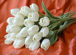 Kwiaty, Białe, Tulipany, Materiał