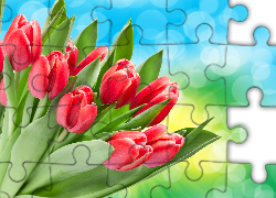 Bukiet, Czerwone, Tulipany