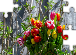 Kwiaty, Bukiet, Kolorowe, Tulipany