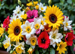 Kwiaty, Słoneczniki, Maki, Narcyzy, Bukiet